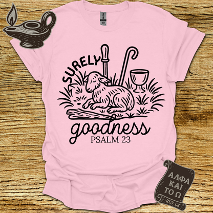 Goodness Psalm 23 T-shirt